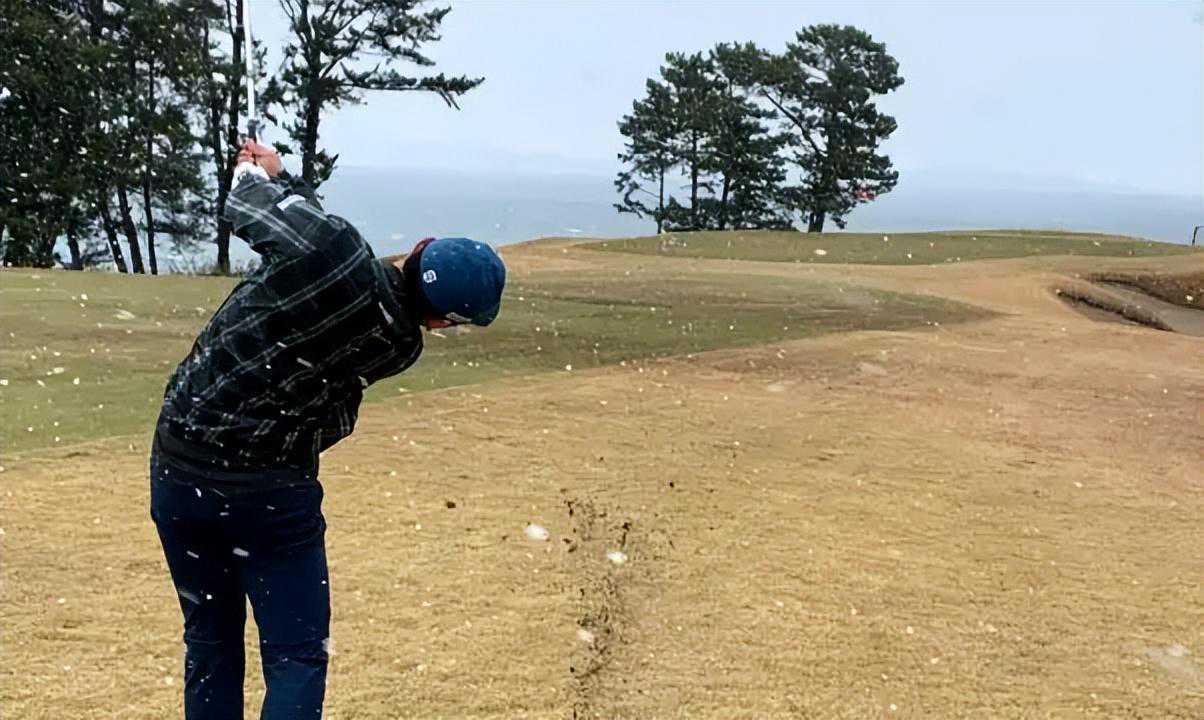 同志社国际高中有哪些社团活动？