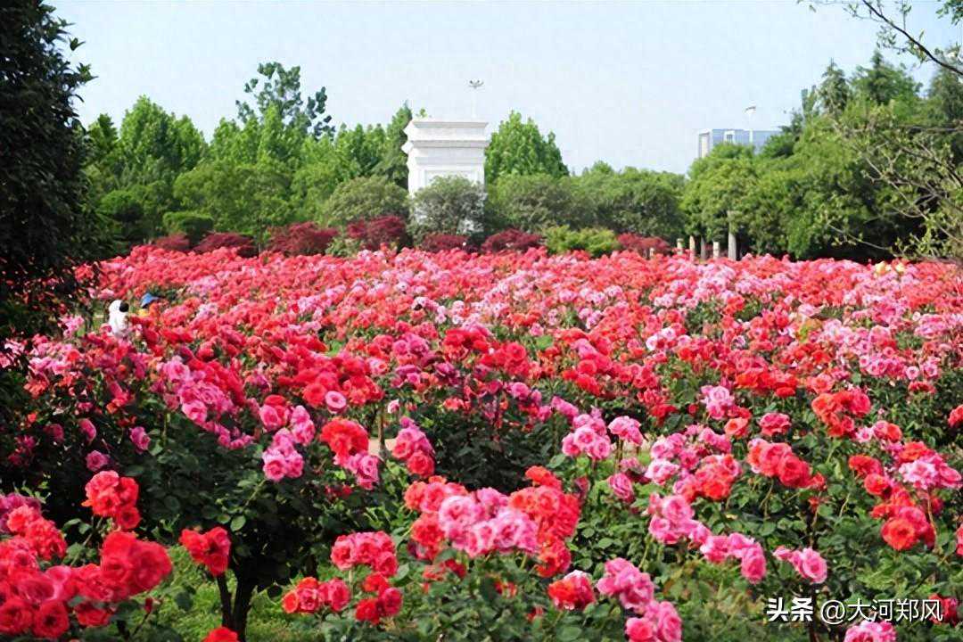 五一假期不必奔赴千里 郑州绿博园“举目皆风景春夏两相宜”