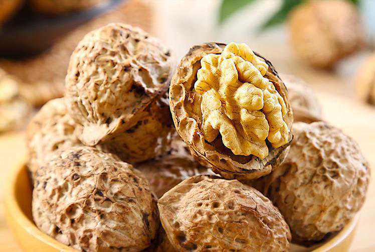 云南盈江泡核桃高产栽培与管理技术