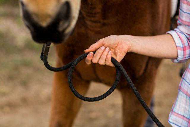 单词联想rein reign rigem