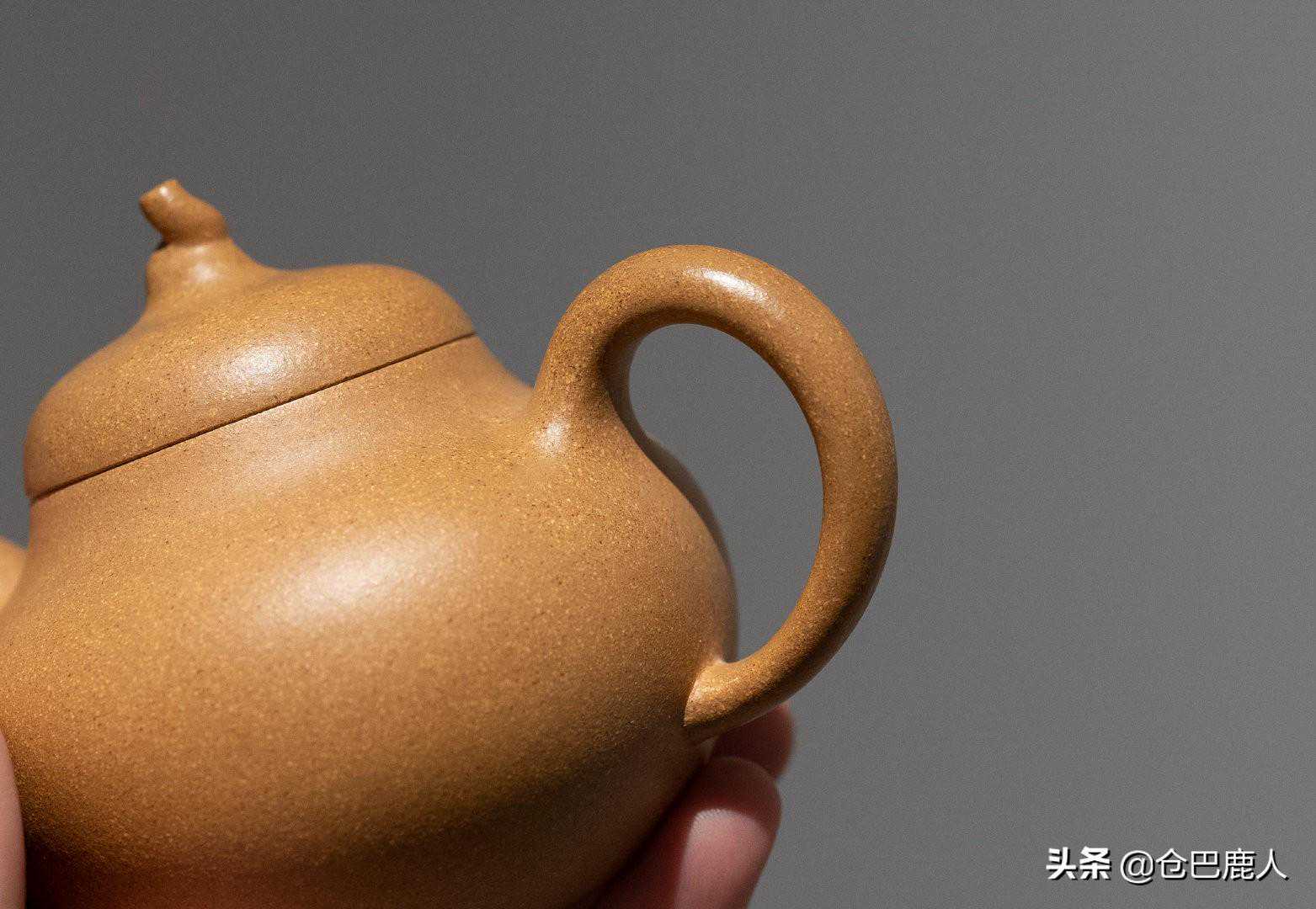 匏瓜「鸿雁托书·匏瓜寄情」