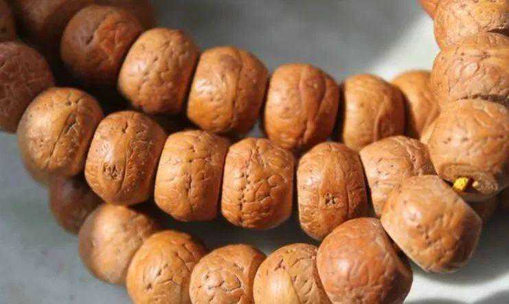 “凤眼菩提”竟有六大骗局这么多！