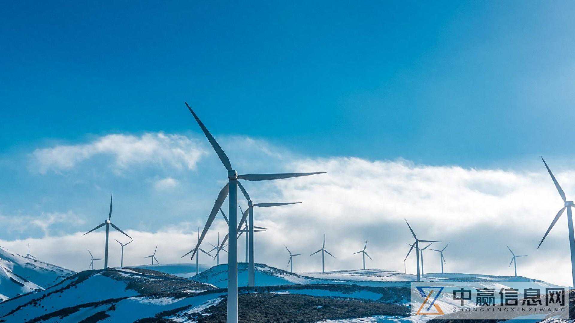 中国超细钛丝行业深度评估及投资动向观察报告2024-2030年