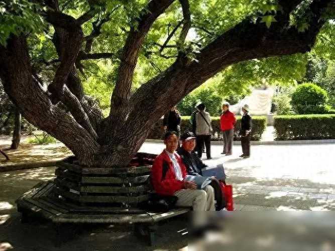 乡村故事——报应来了 乡村故事——报应来了