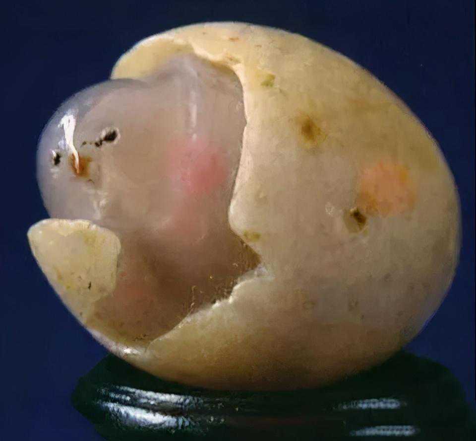 阿拉善玛瑙,玉雕界的新贵,一块原石估价高达1.3亿 阿拉善玛瑙,玉雕界的新贵,一块原石估价高达1.3亿