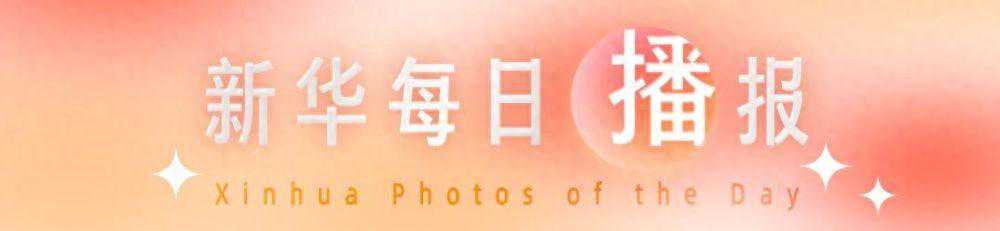 新华每日播报|11月17日 新华每日播报|11月17日