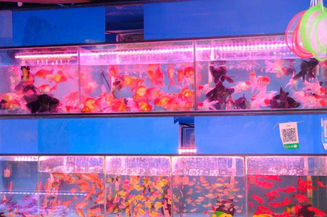 吕斯百先生油画作品选