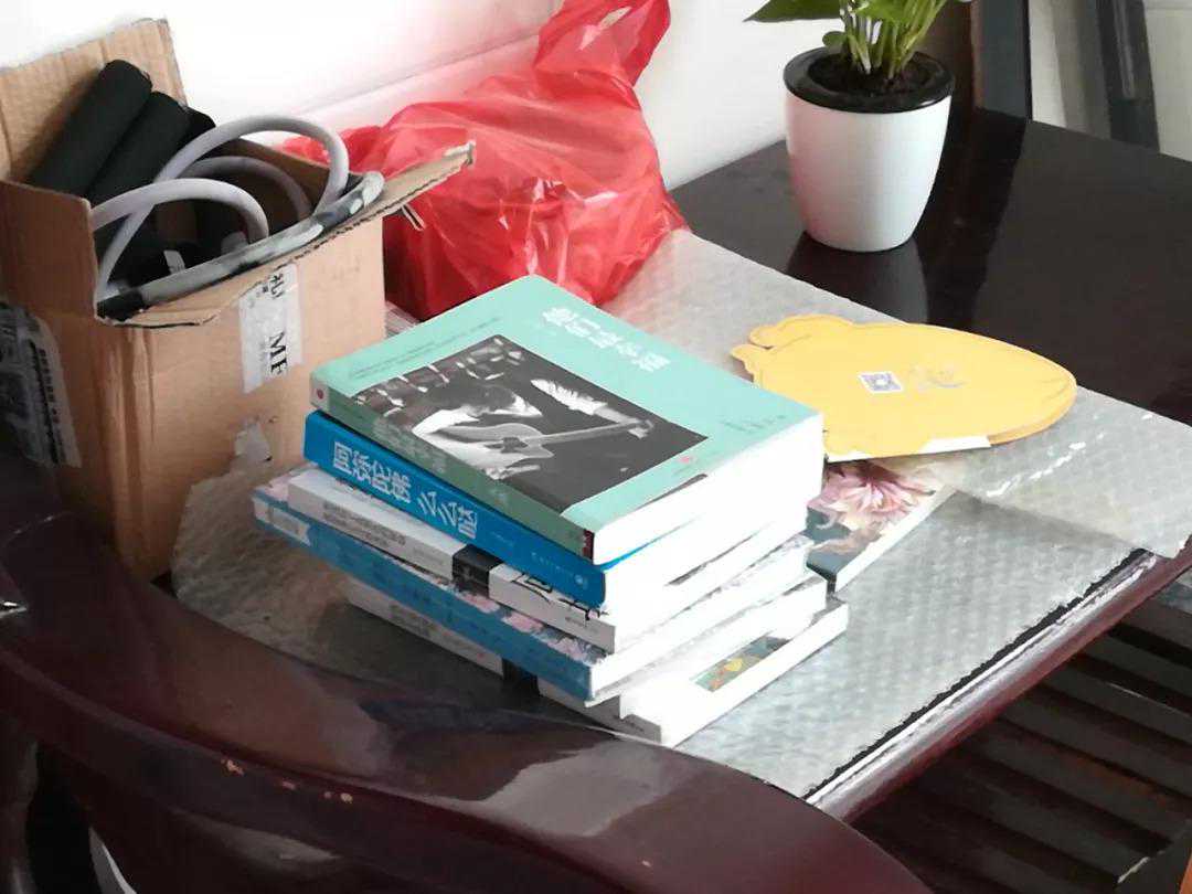 峨眉山跳崖女孩：坠入深渊