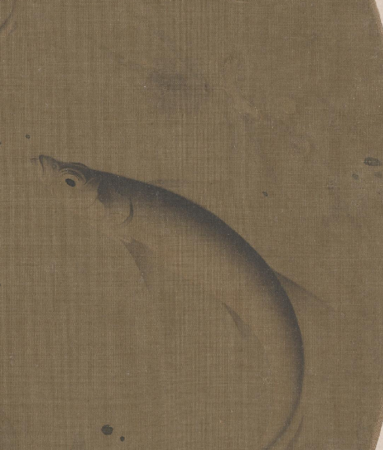 赏画｜宋《群鱼戏藻图》