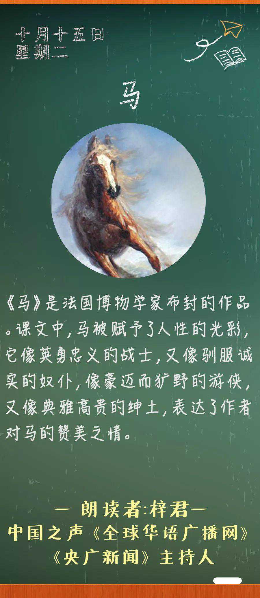 《马》丨那些年，我们一起读过的课文