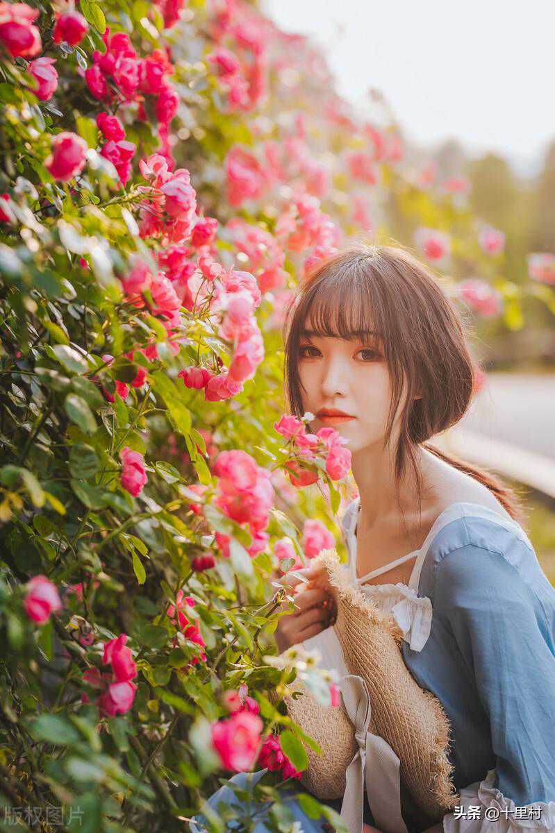 网红签约公司的下场