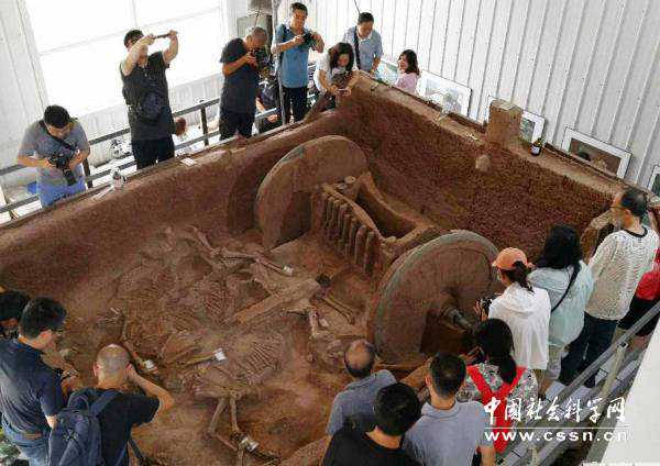 西周马车佐证东西方文化交流