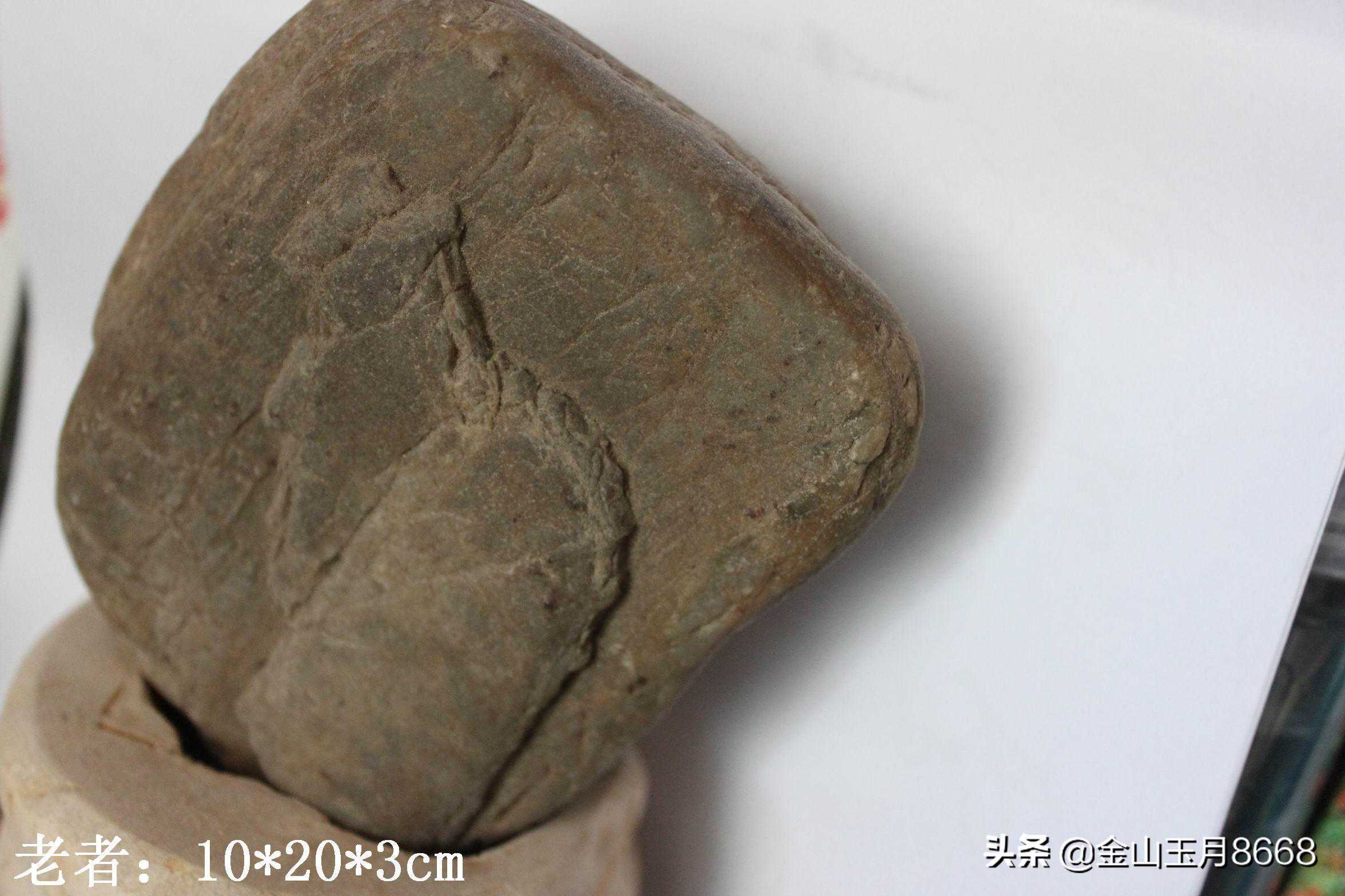 赏石，品石与鉴石从几个方面入手