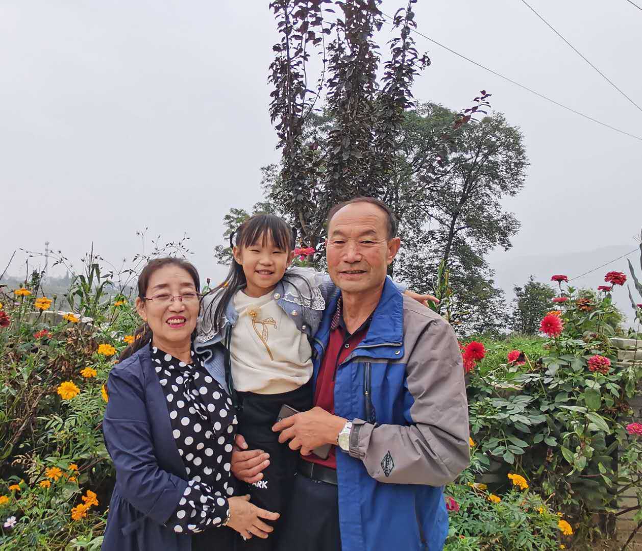 史虎明/读韩书才《故乡散记》偶感