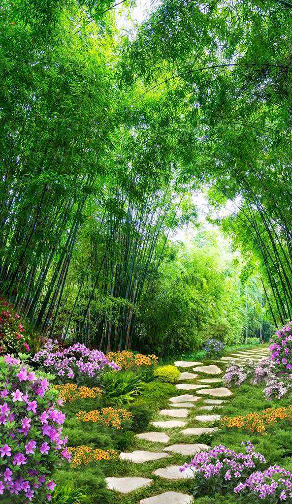 「小小说」：《白玉》