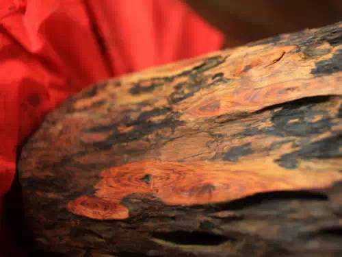 关于海南黄花梨老料、新料、干料的探讨