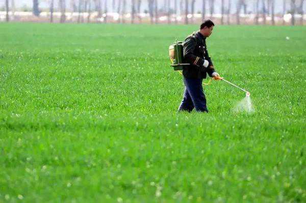 除草剂药瓶上标有这些字?你可能碰上假药了 除草剂药瓶上标有这些字?你可能碰上假药了