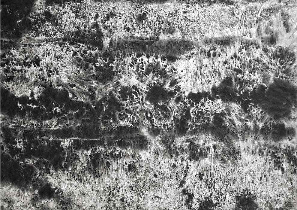 水墨艺术的当代表达：大千世界 原始本色——艺术家么冰儒专访