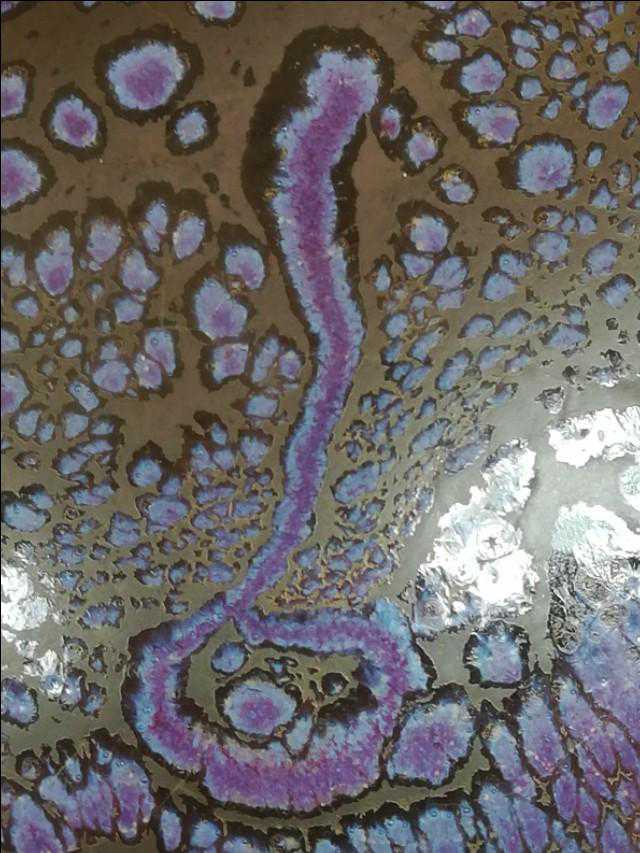 论宋官钧的“蚯蚓走泥纹”