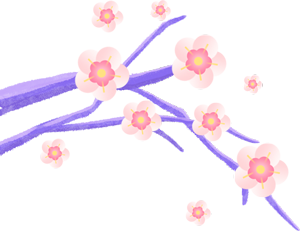 农遗良品 | 辛夷花开 传统承续 农遗良品 | 辛夷花开 传统承续