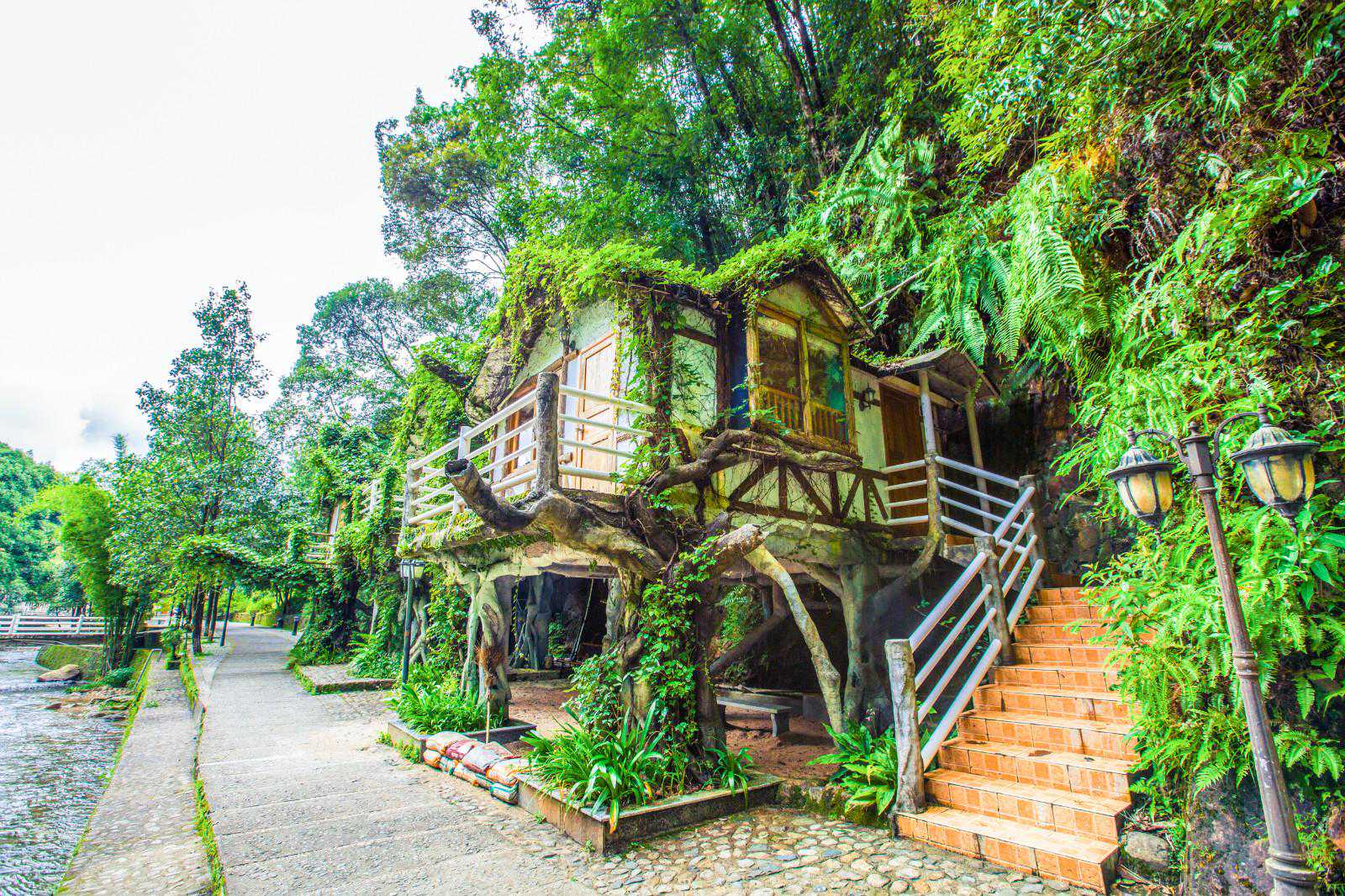 广东超火8家网红木屋民宿，建议收藏