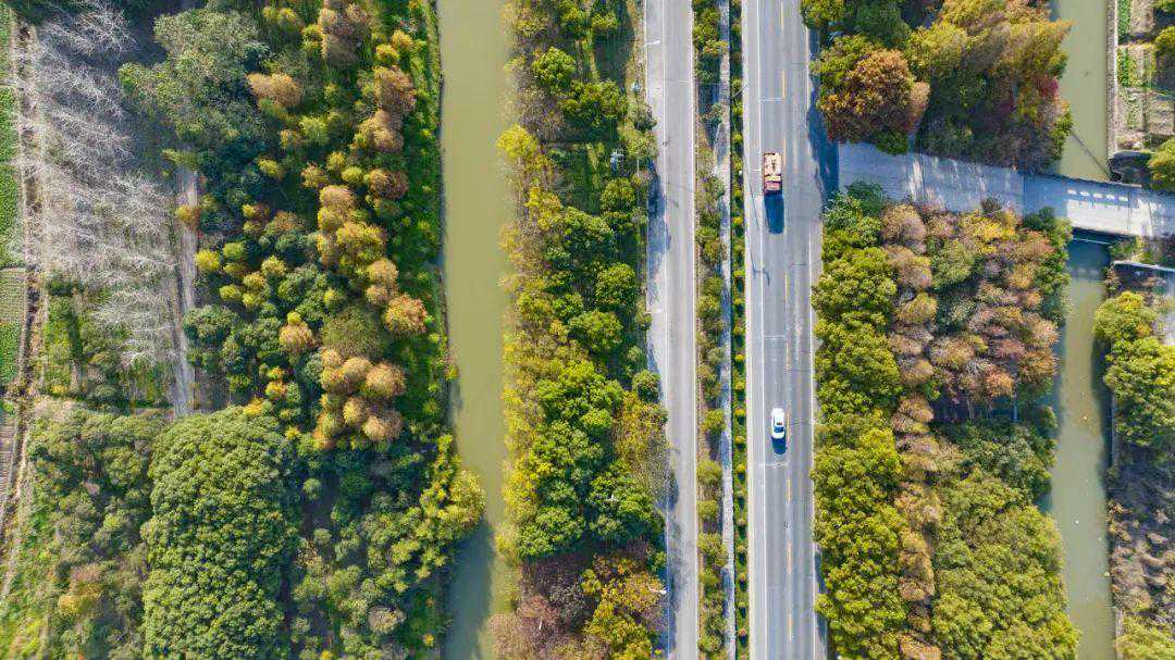 深秋，最是赏叶好时节！柘林这些赏叶好去处建议收藏