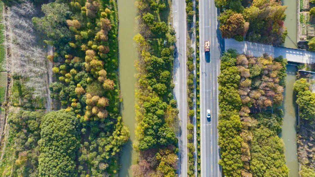 深秋，最是赏叶好时节！柘林这些赏叶好去处建议收藏