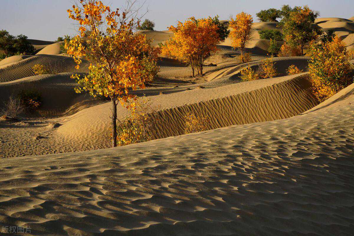 和田必玩的六个景点推荐，新疆和田旅游必看，建议收藏！