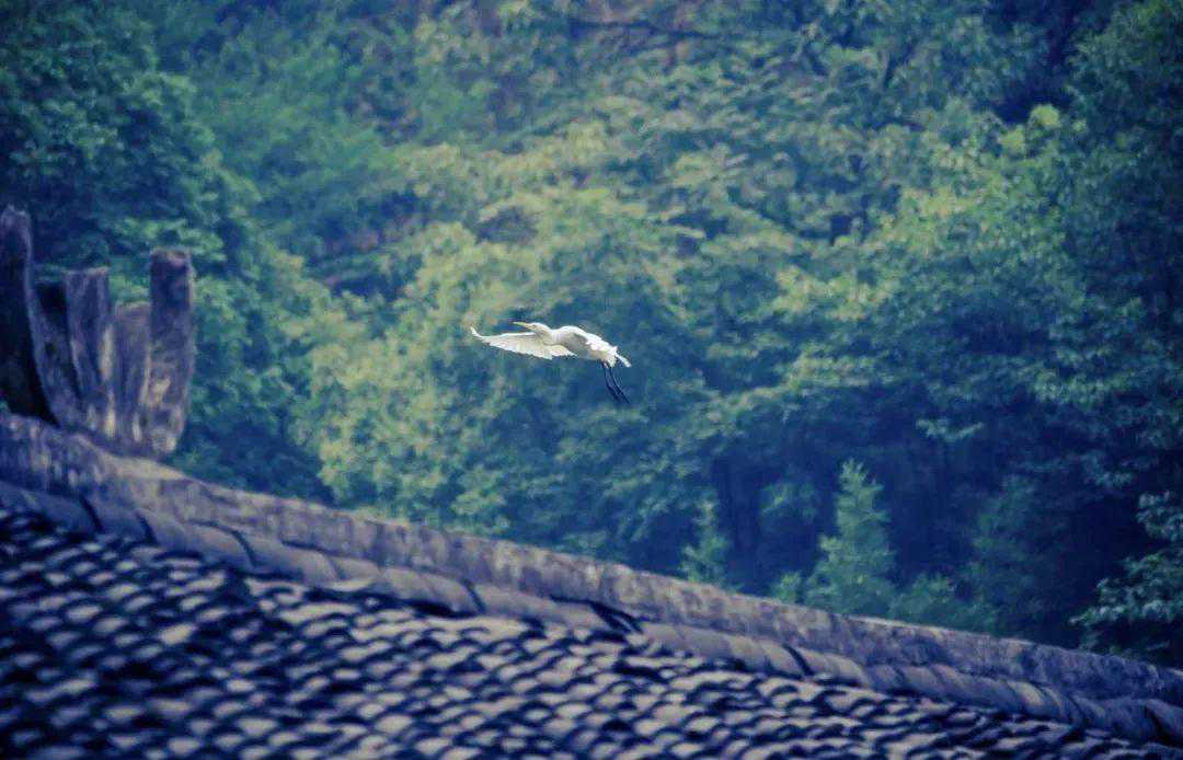 那些年倒背如流的25篇经典古文，你还能背出吗？值得收藏