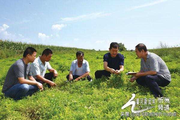 史上最全的辨别真假80猴票方法,单枚价值万元,你有收藏吗? 史上最全的辨别真假80猴票方法,单枚价值万元,你有收藏吗?