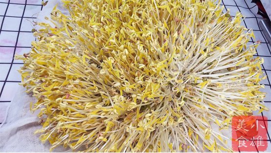 吃了半辈子豆芽,才知道发豆芽这么简单,5天就能吃,值得收藏 吃了半辈子豆芽,才知道发豆芽这么简单,5天就能吃,值得收藏