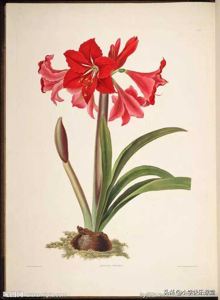 这些记生字的儿歌太有趣了，帮助孩子快速记忆不容易忘，家长收藏