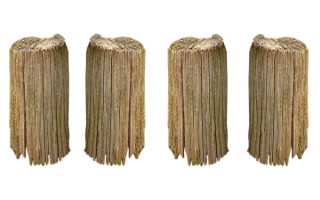 龙舟竞渡恒久远 历代画作永留存