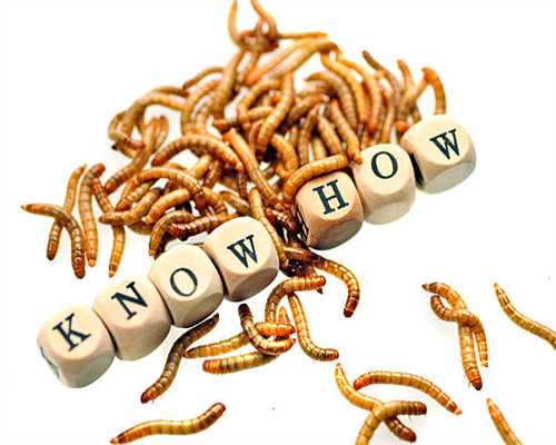 钱币收藏中的六大套路