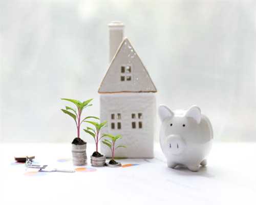 805荧光币会成为收藏市场最大黑马吗？