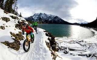 一封重要的邮简已寄发，您收到了吗？