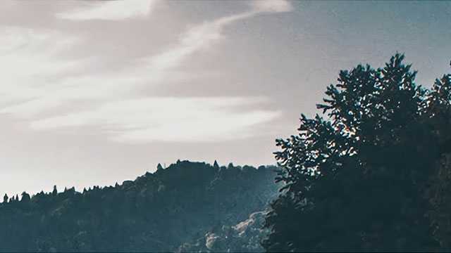 古泉园地2022年春拍在长沙预展 550件精品18日正式开拍