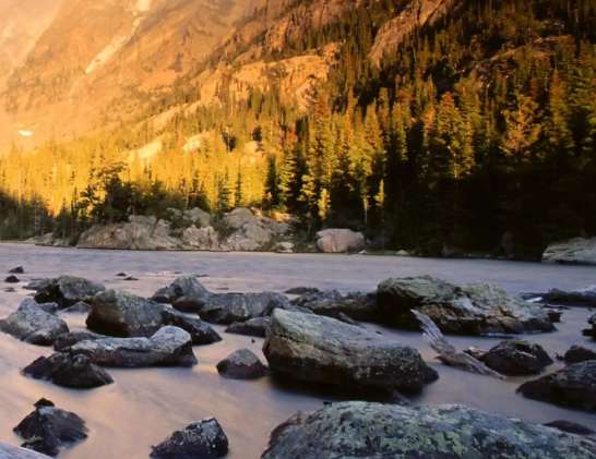 古钱币到底值多少钱？